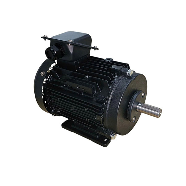 GENERAL PURPOSE MOTOR Archives - Toshiba