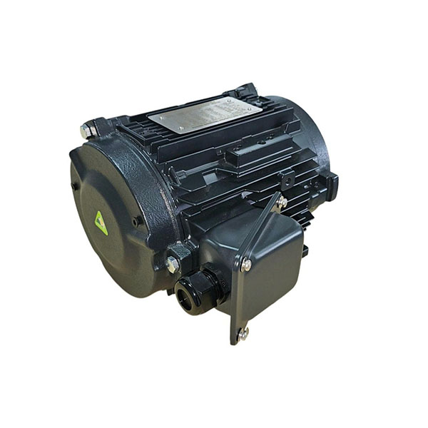 DEFINITE PURPOSE MOTOR Archives - Toshiba